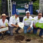Over 930 thousand trees will be planted in 2019
