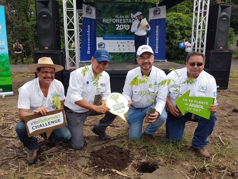 Over 930 thousand trees will be planted in 2019