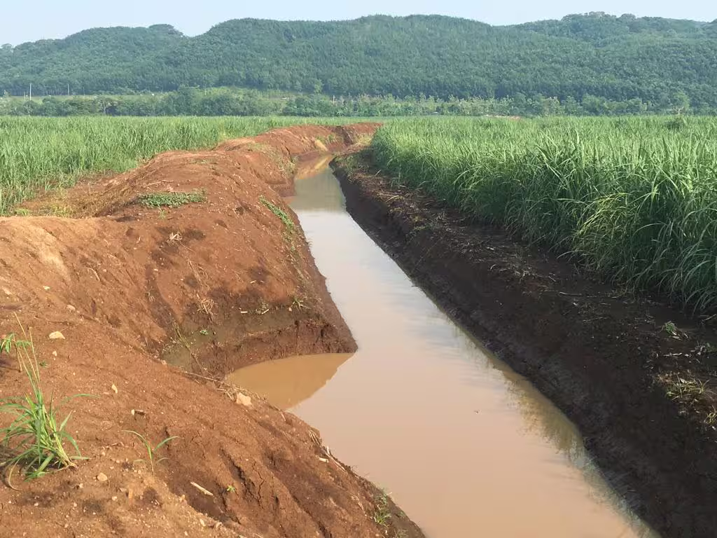 Ingenios trabajan en la conservación de suelos