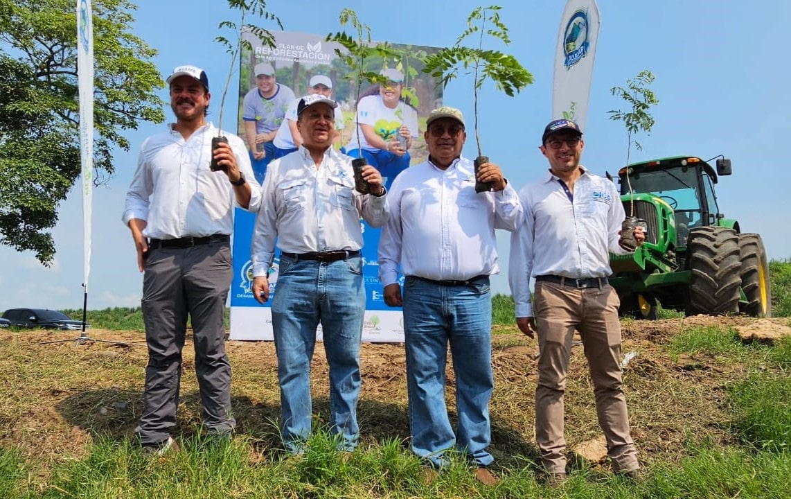 Guatemalan Sugar Cane Agroindustry will reforest with more than 955,000 trees in 2023