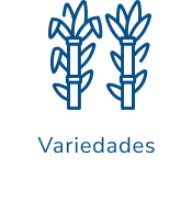 Variedades