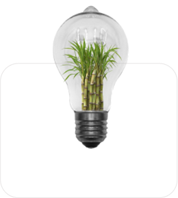 Energía renovable icono 