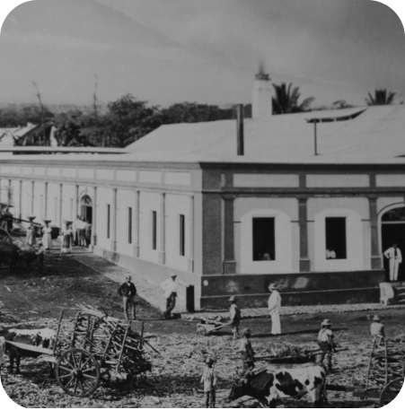 Historia de Guatemala de los primeros cañeros