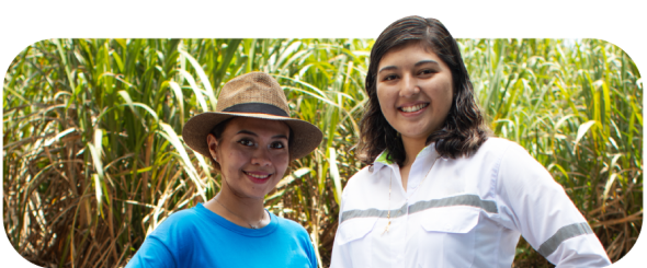 Mujeres en el campo
