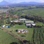 Cengicaña cumple 33 años de investigación en Guatemala