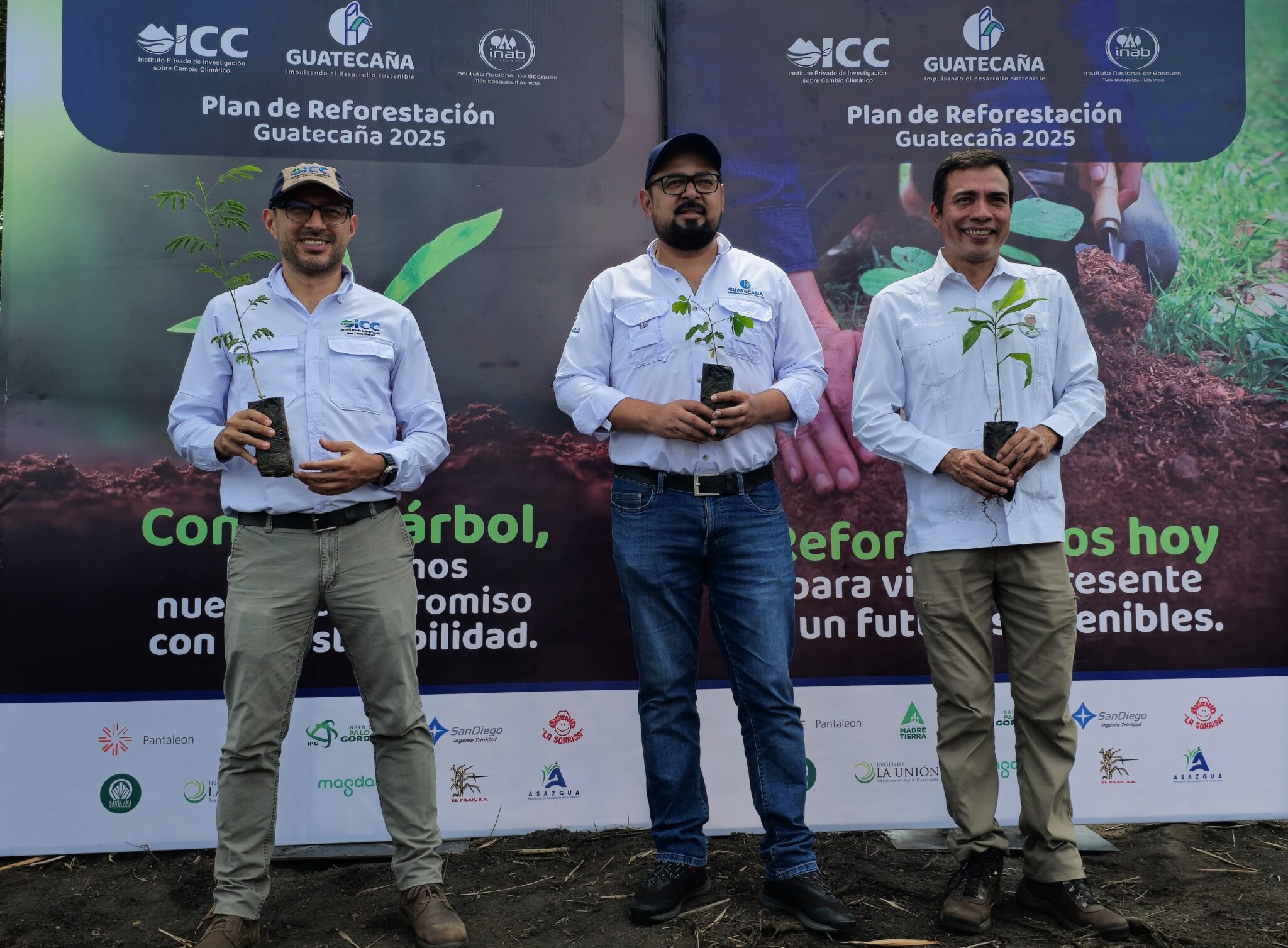 Guatecaña sembrará 600 mil árboles en siete departamentos