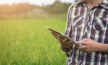 Técnico Fitomejorador