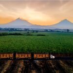 Estudio académico internacional destaca sostenibilidad de la caña de azúcar en Guatemala y América Latina