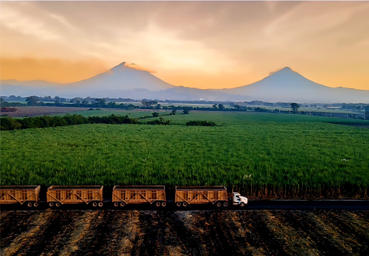 Estudio académico internacional destaca sostenibilidad de la caña de azúcar en Guatemala y América Latina